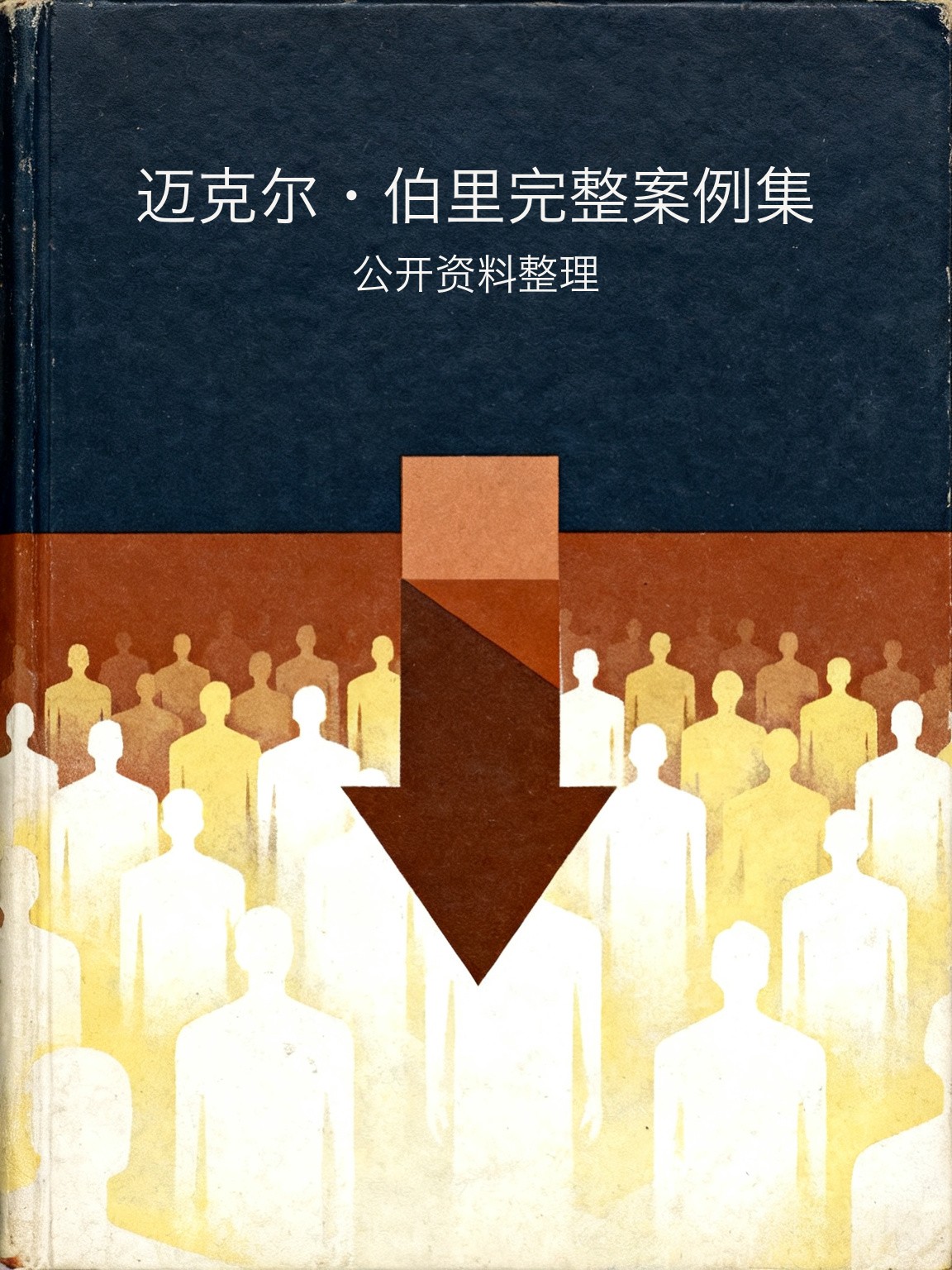 迈克尔·伯里完整案例集 封面
