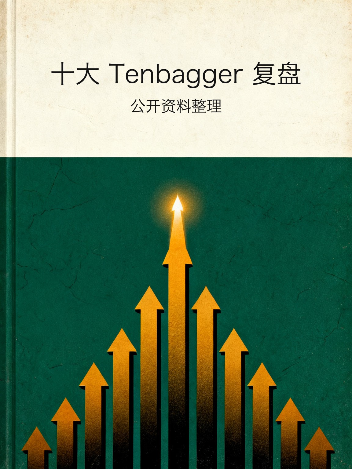 十大 Tenbagger 复盘 封面