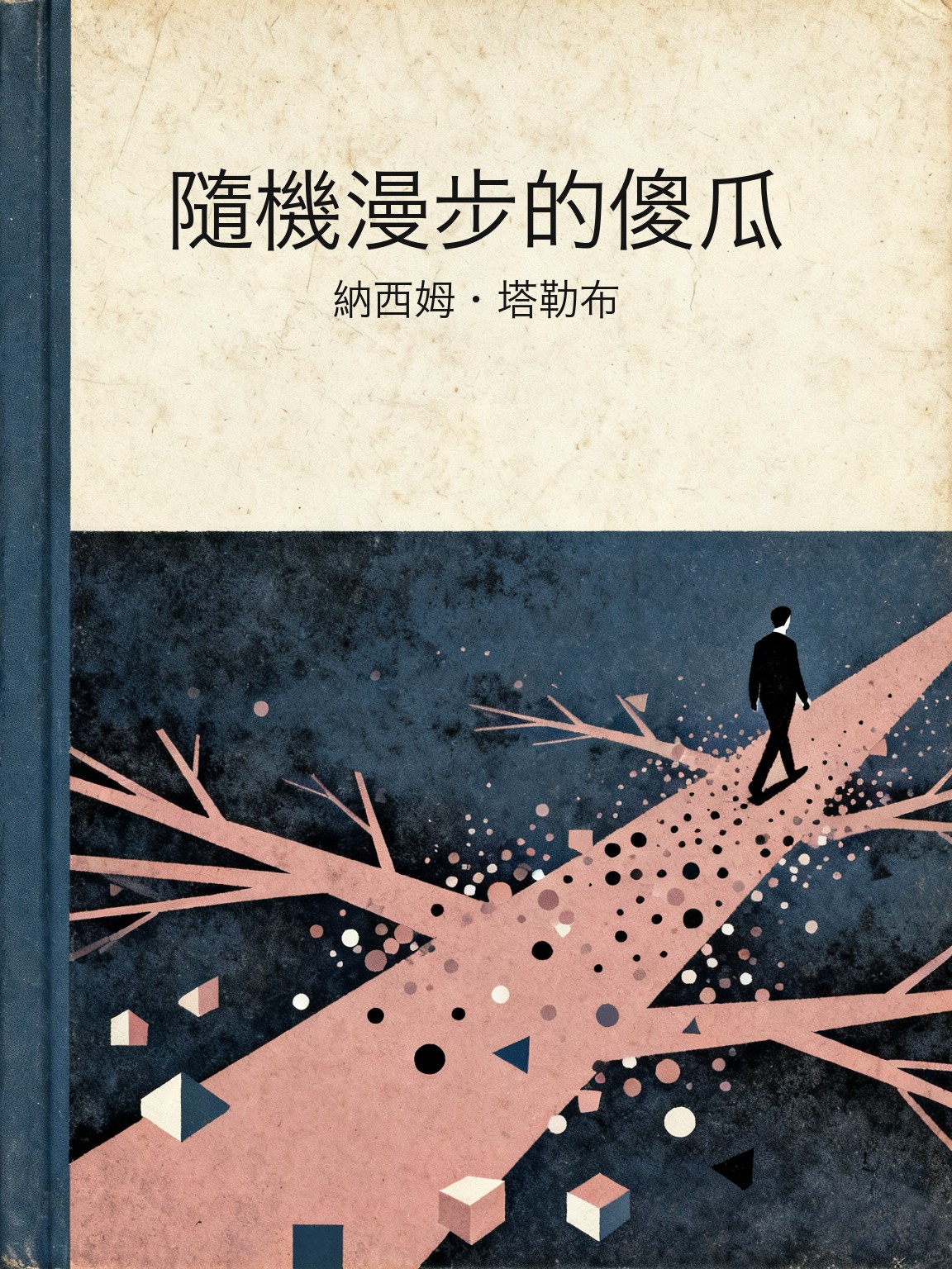 隨機漫步的傻瓜 封面